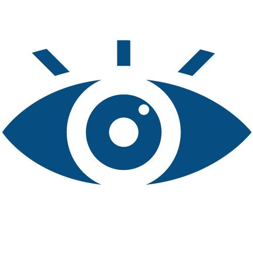 Vision Icon